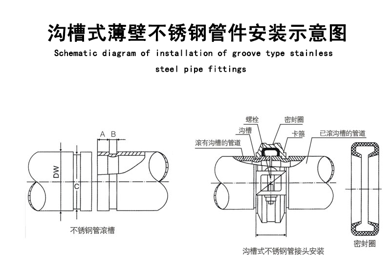 沟槽式蜜柚视频污