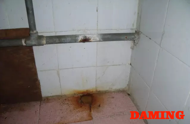 薄壁蜜柚APPIOS饮用水管