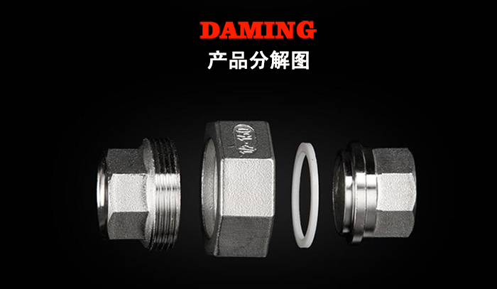 316L蜜柚APPIOS内丝活接头