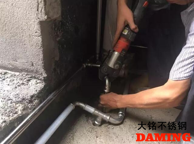 蜜柚官网在线下载蜜柚APPIOS