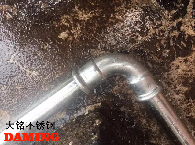 蜜柚官网在线下载蜜柚APPIOS给水管