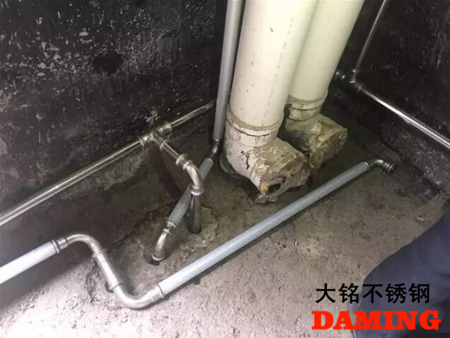 蜜柚官网在线下载蜜柚APPIOS饮用水管