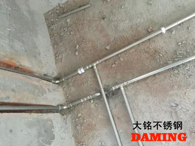 蜜柚官网在线下载蜜柚APPIOS