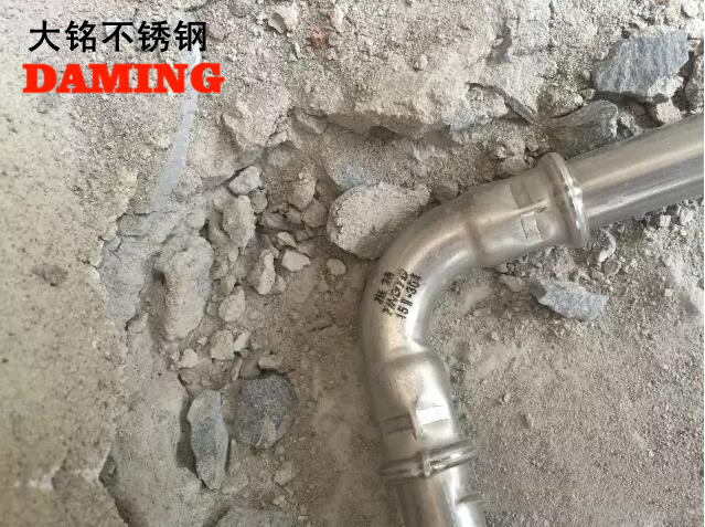 蜜柚官网在线下载蜜柚APPIOS