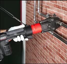 蜜柚官网在线下载蜜柚APPIOS