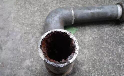 蜜柚官网在线下载蜜柚APPIOS