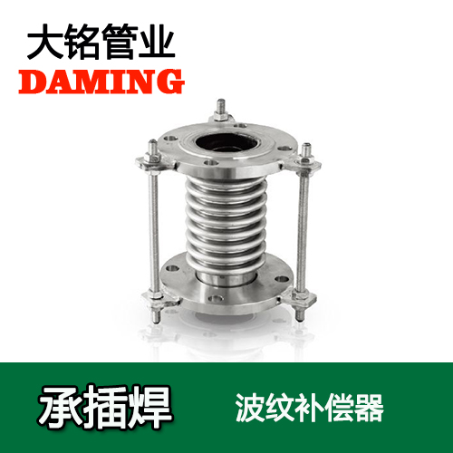 DN50 法兰式蜜柚APPIOS波纹补偿器（304 316L）