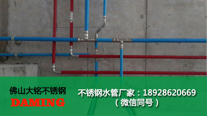 佛山蜜柚官网在线下载蜜柚APPIOS管业