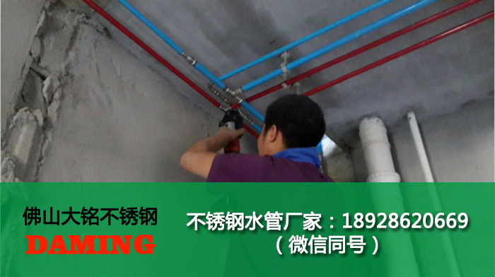 遂宁蜜柚APPIOS水管厂家