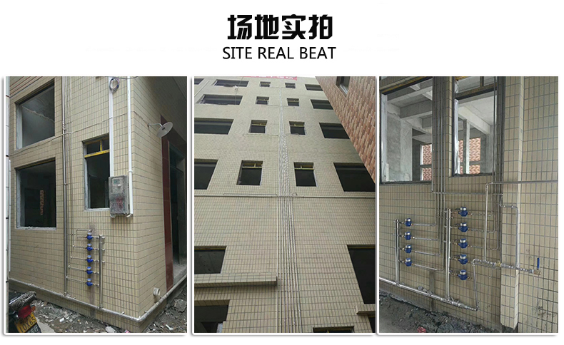 316L卫生级蜜柚APPIOS水管