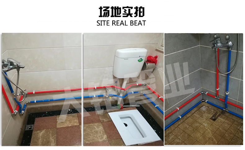 316L环压蜜柚APPIOS水管