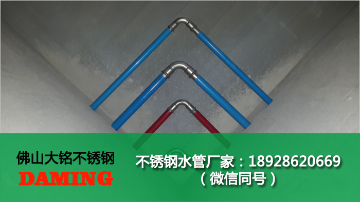 泰州蜜柚APPIOS水管厂家