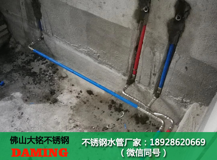 保定蜜柚APPIOS水管厂家