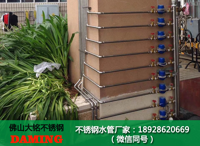 沧州蜜柚APPIOS水管代理加盟