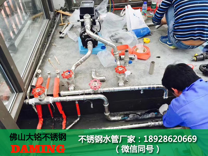 高质量的蜜柚APPIOS分水器