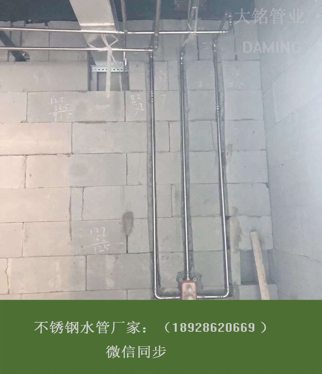 佛山承插焊蜜柚APPIOS蜜柚视频污