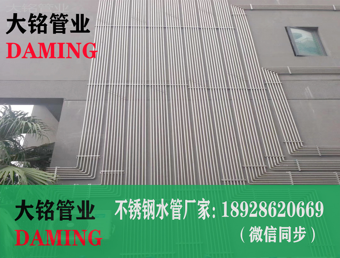 316L蜜柚APPIOS水管