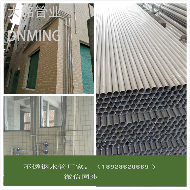 316L蜜柚APPIOS水管