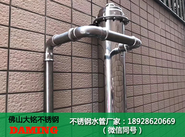 桂林蜜柚APPIOS双卡压蜜柚视频污