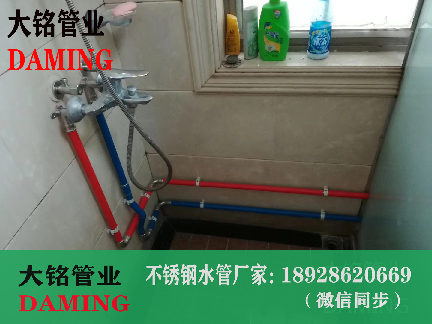 蜜柚APPIOS环压管