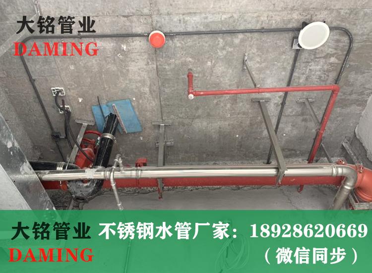 316L蜜柚APPIOS压接管