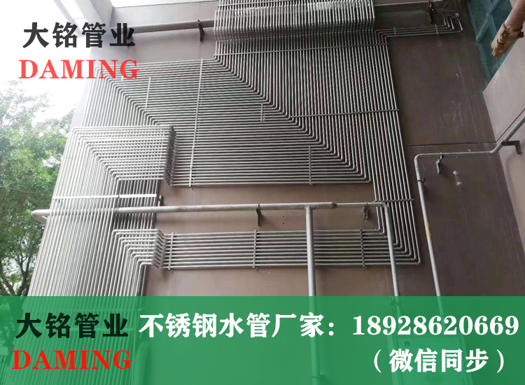 316L蜜柚APPIOS给水管