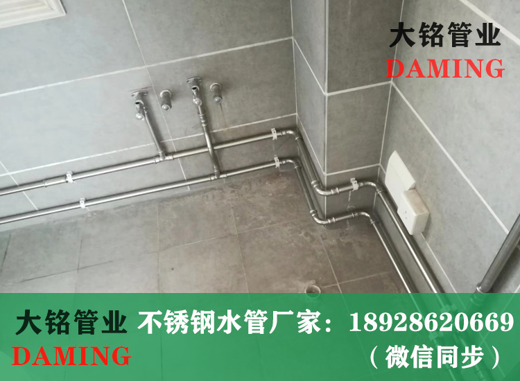 316L双卡压蜜柚APPIOS给水管