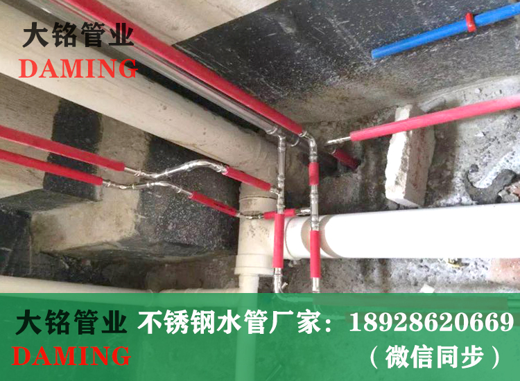 316L薄壁蜜柚APPIOS饮用水管