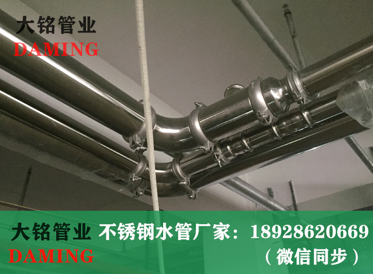 316L蜜柚APPIOS卡箍蜜柚视频污