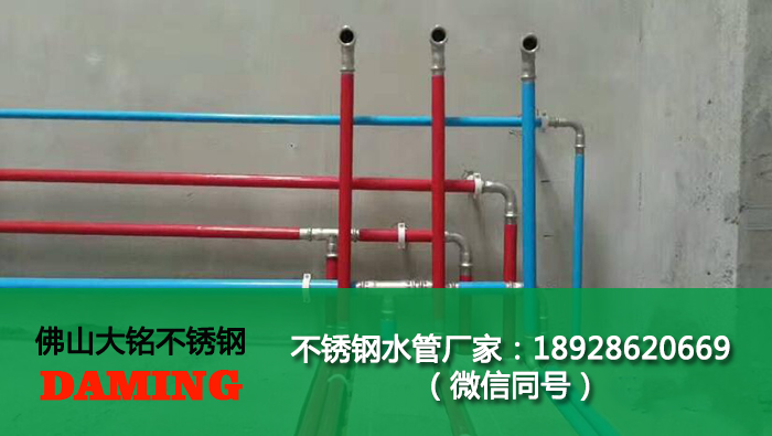 304蜜柚APPIOS薄壁管