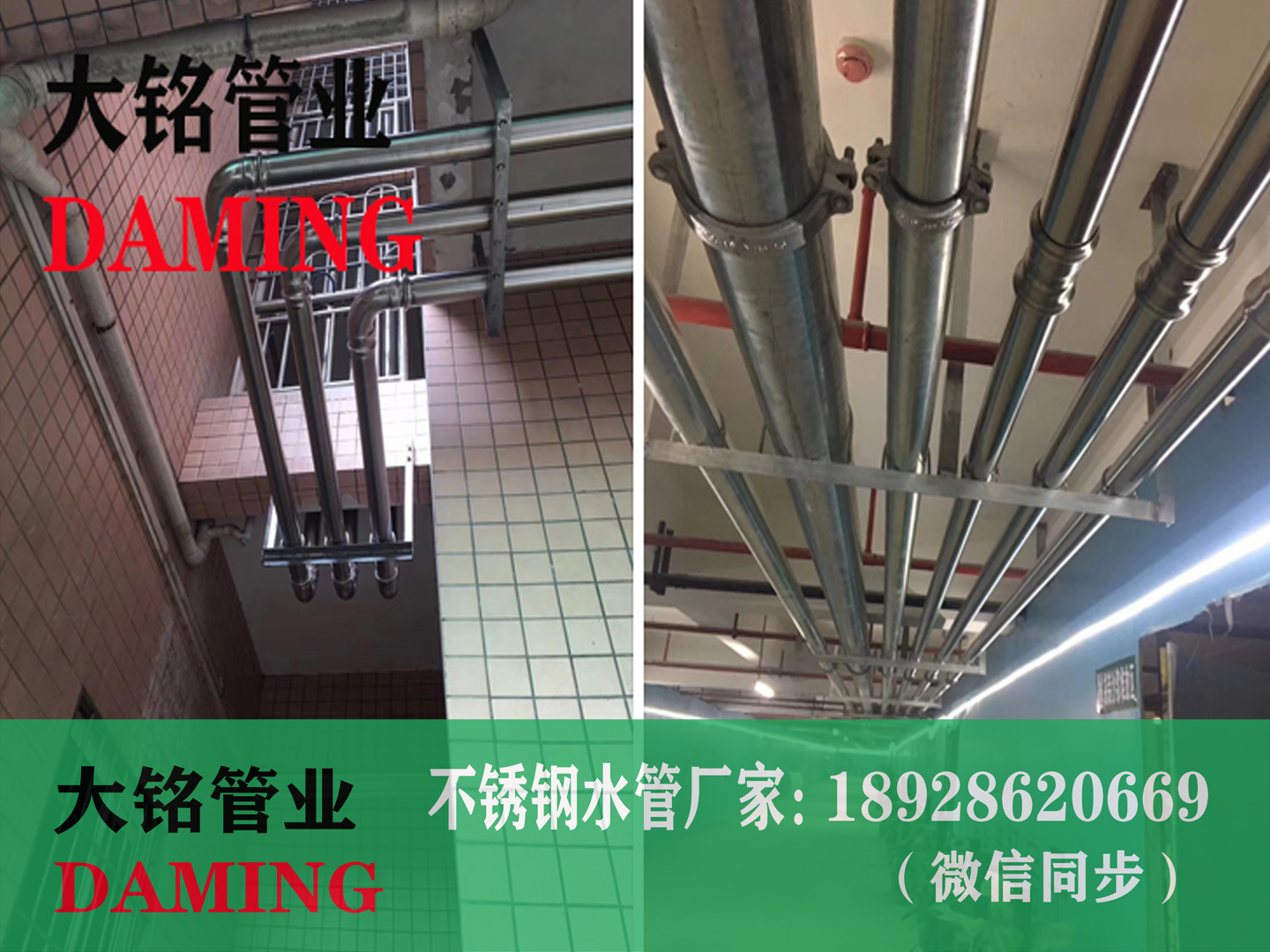 304蜜柚APPIOS沟槽蜜柚视频污