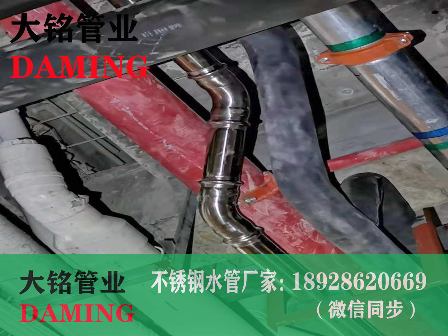 双卡压蜜柚APPIOS弯头