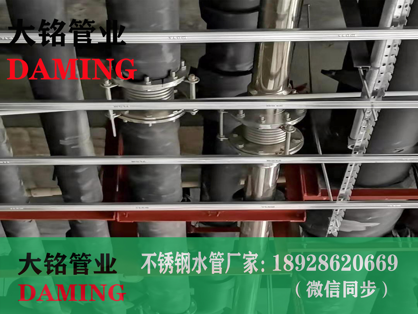 法兰式蜜柚APPIOS波纹补偿器