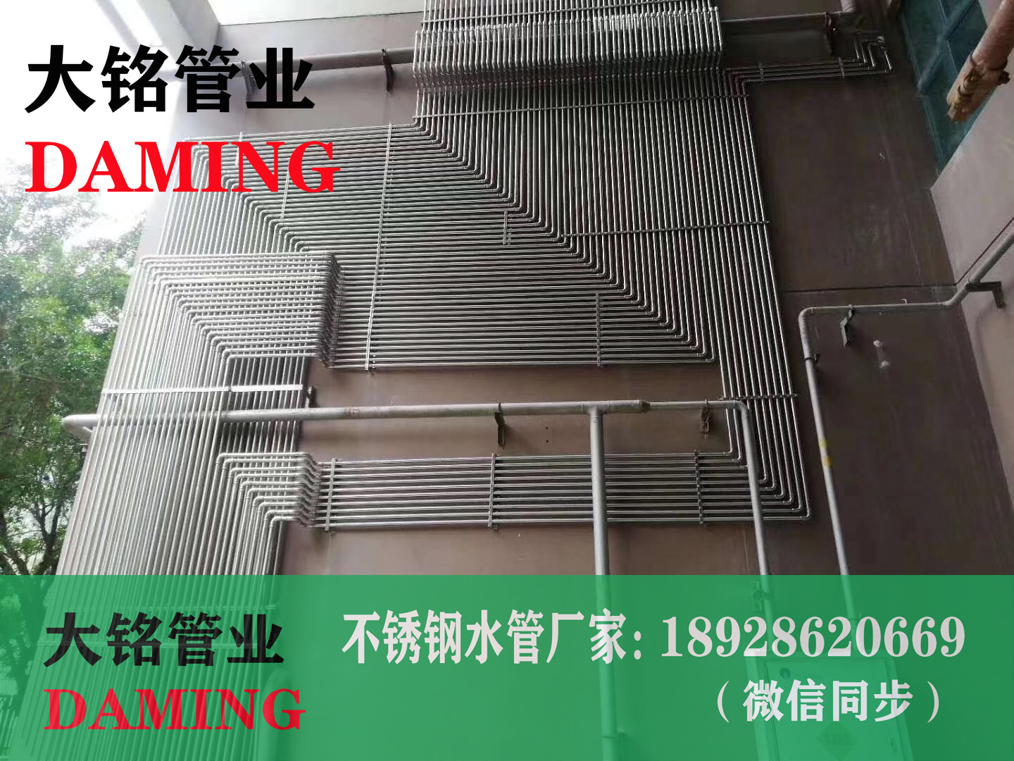 食品卫生级蜜柚APPIOS水管