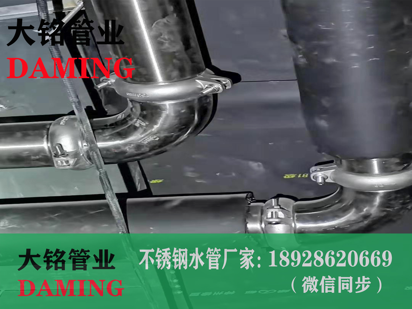  蜜柚APPIOS沟槽蜜柚视频污