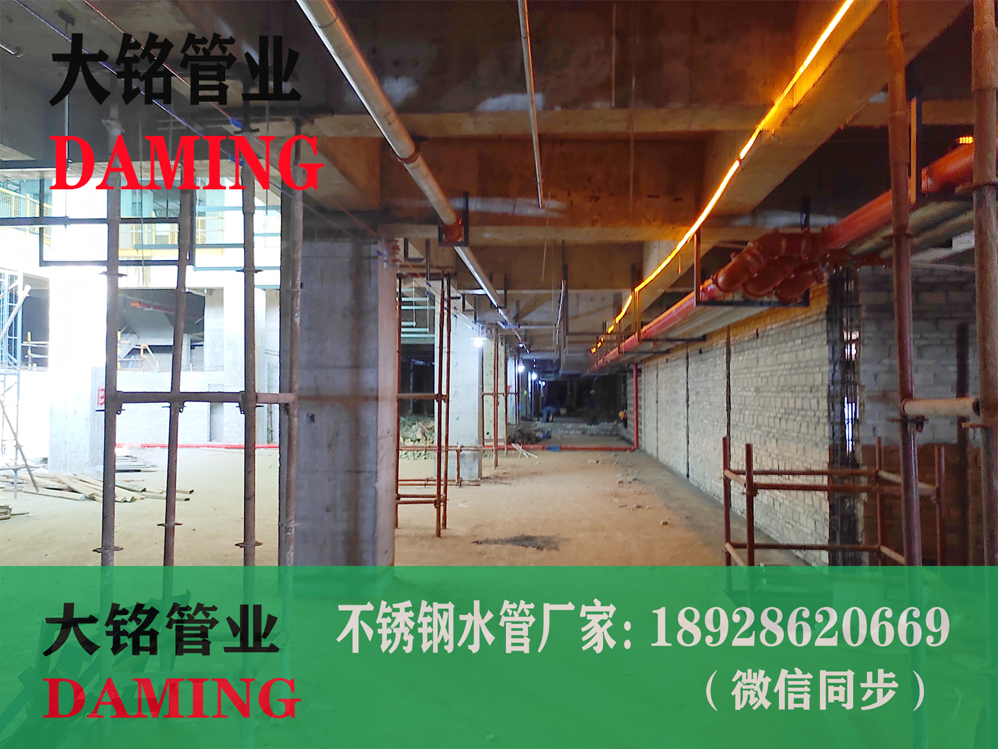  蜜柚APPIOS沟槽蜜柚视频污