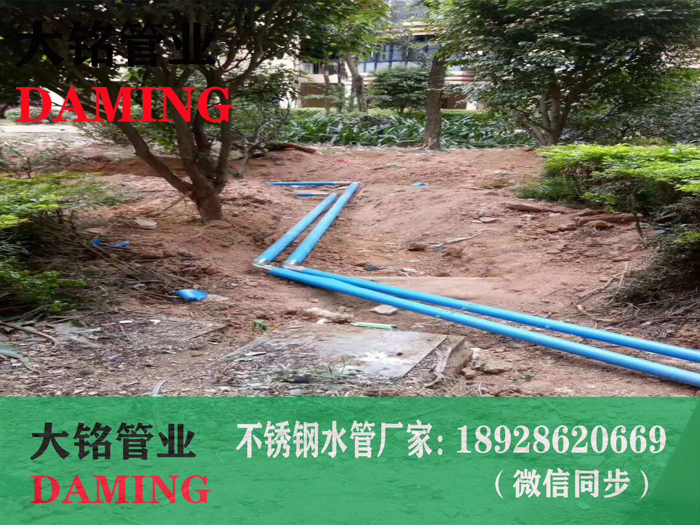 304蜜柚APPIOS环压蜜柚视频污