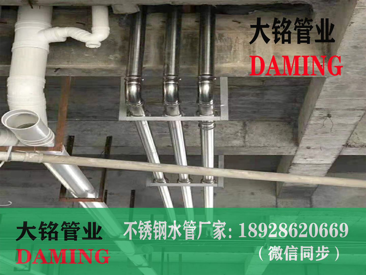 蜜柚APPIOS饮用水管