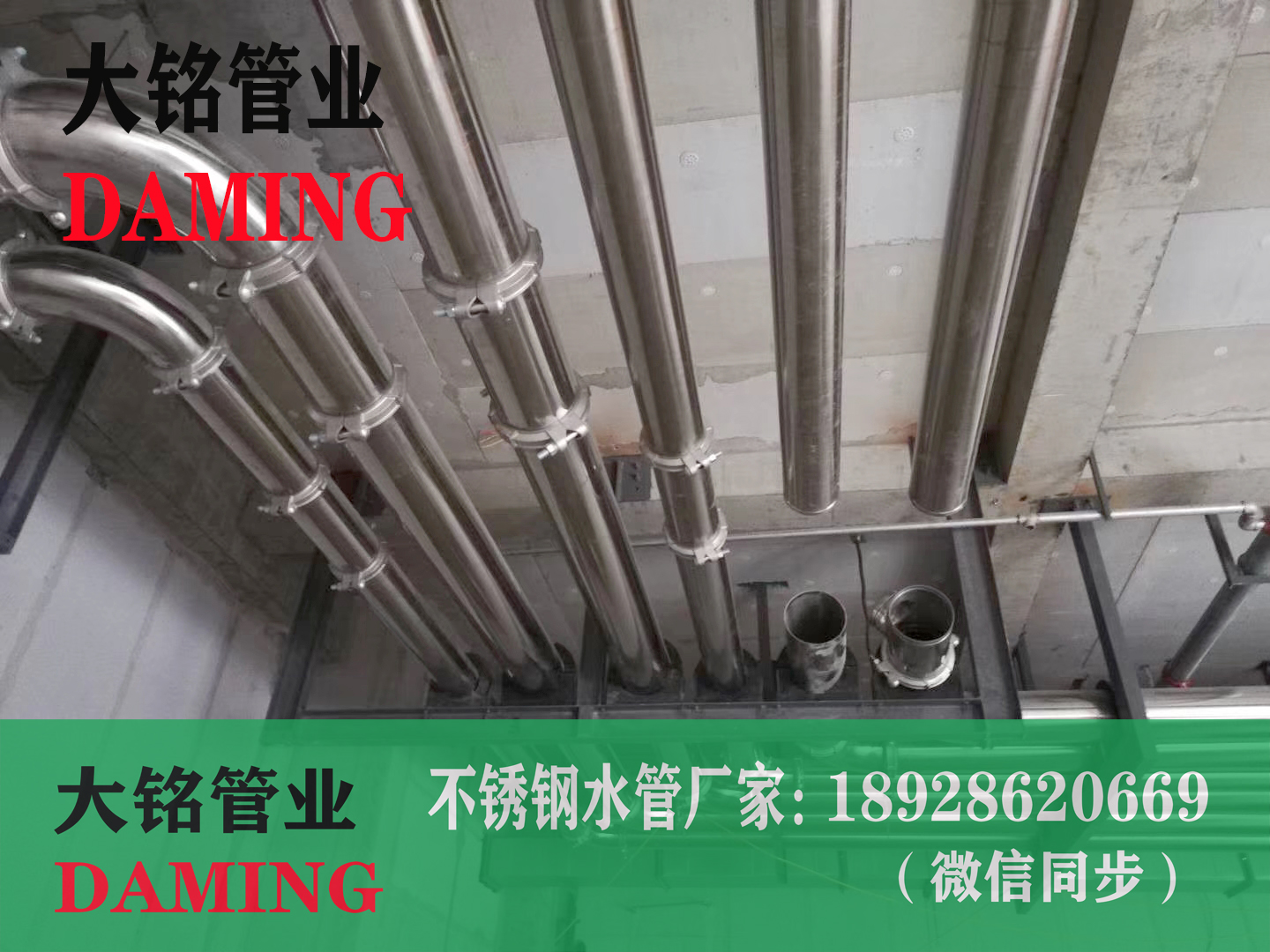 奥氏体卫生级蜜柚APPIOS水管