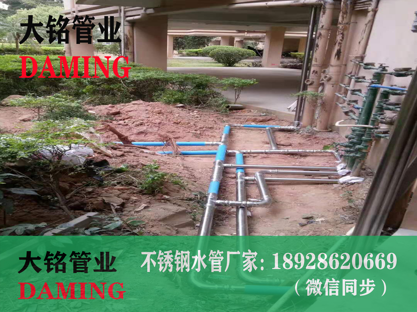 蜜柚APPIOS双卡压管材