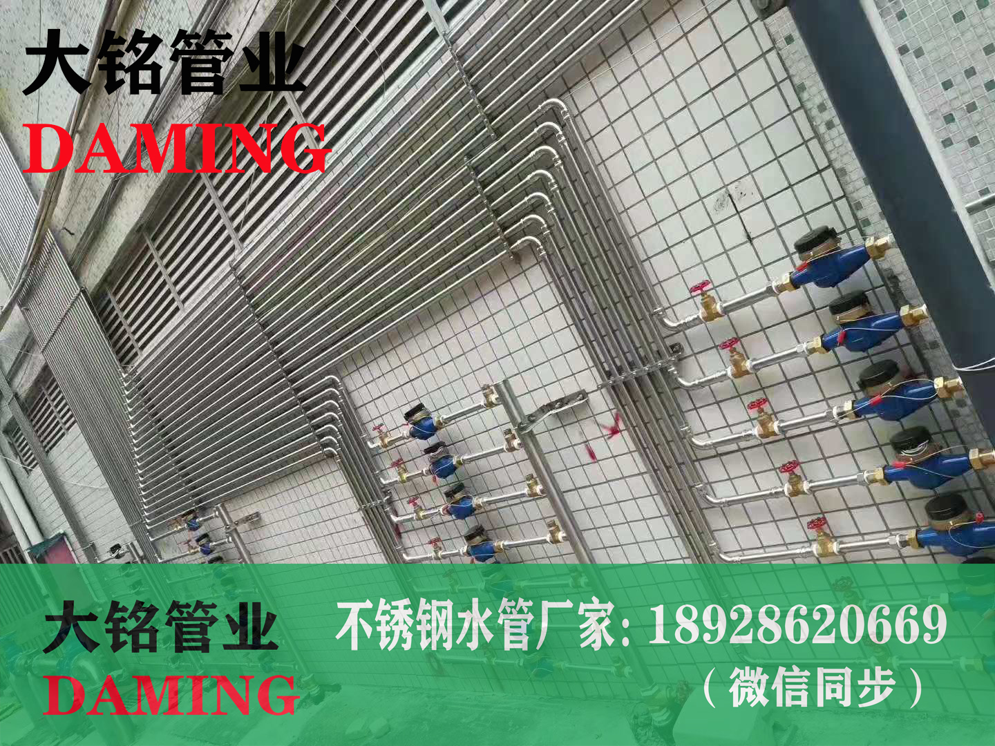 蜜柚APPIOS双卡压蜜柚视频污