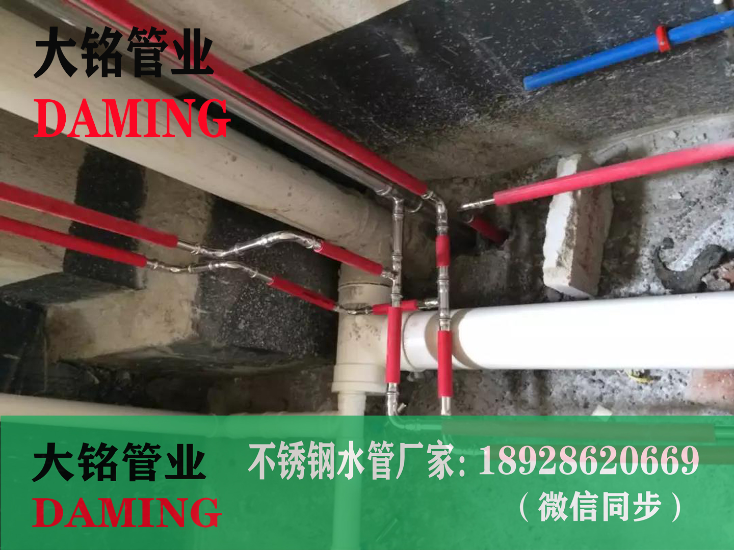 dn20蜜柚APPIOS水管蜜柚视频污