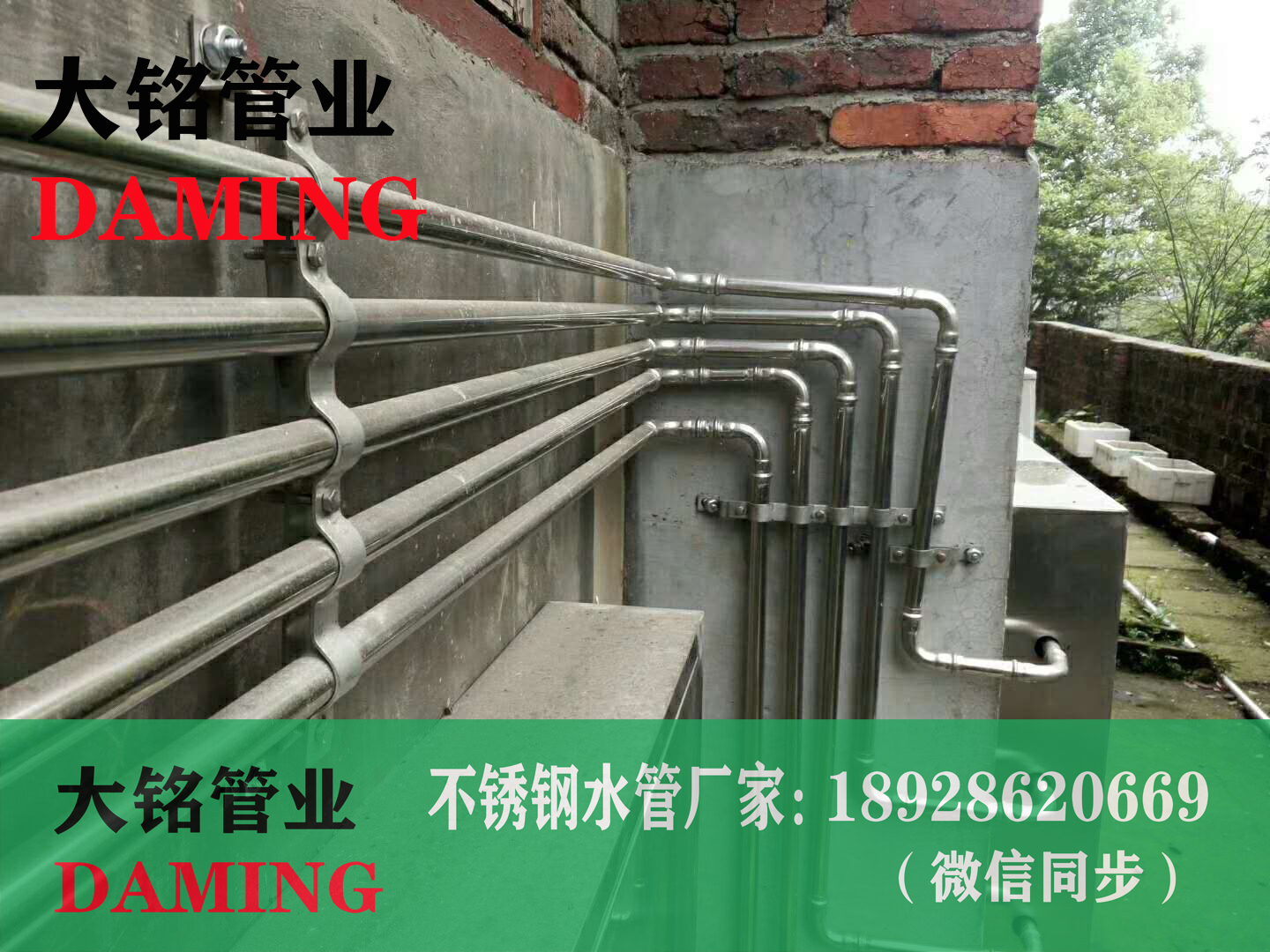 蜜柚APPIOS卫生级管