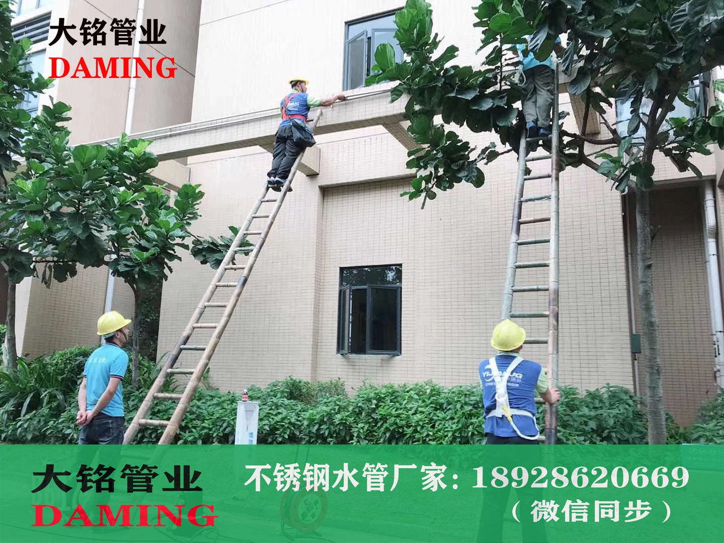 蜜柚APPIOS饮用水管